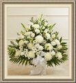 Shirley's Florist, 1105 Huffman Rd, Birmingham, AL 35215, (205)_856-5033